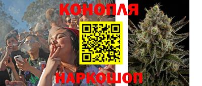 сатива Ивантеевка