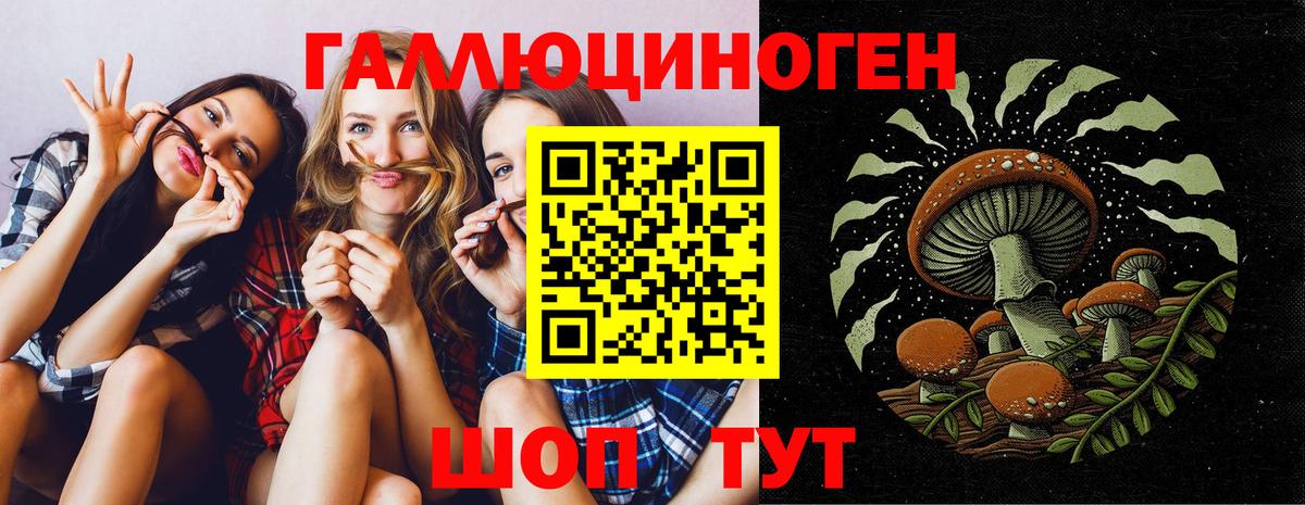 Галлюциногенные грибы ЛСД Лесозаводск