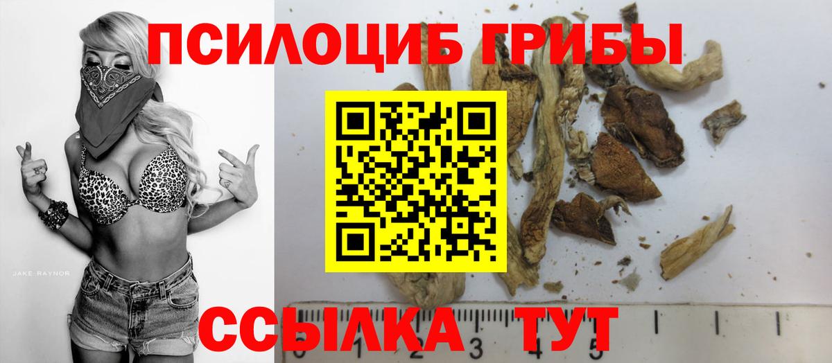 Псилоцибиновые грибы Psilocybine cubensis  Галлюциногенные грибы Magic Shrooms  Лесозаводск  Вход с VPN 